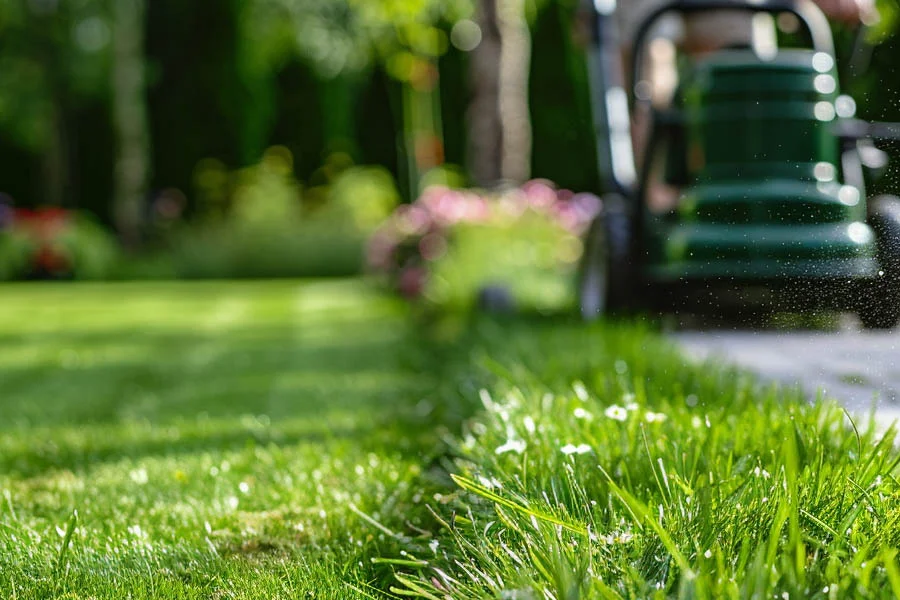 top rated electric lawn mowers